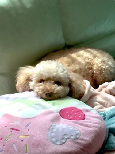 はじめまして