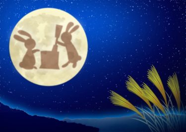 愛犬、ペットホテルにお泊り