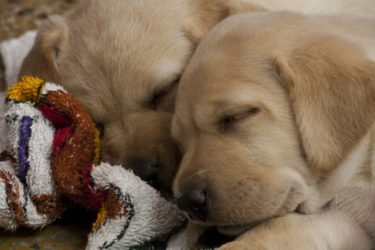 あっと言う間の一週間、魅惑の二度寝