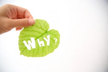 その理由、教えてもらってもいいですか？