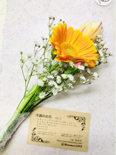 お花の定期便で部屋がちょっぴり華やかに♪