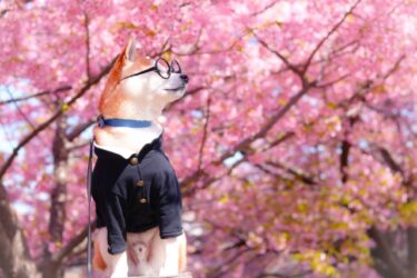 制服をもっと自由に！ジェンダーレス制服により増える選択肢