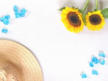 何もない夏休み