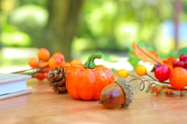 秋は短し・・・落ち込むことなかれ受験生