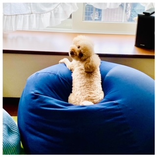 生活感溢れる家