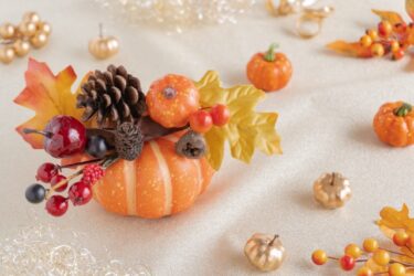 衝撃のゴミ屋敷