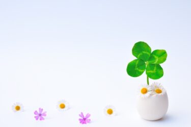 幸せの一粒♪アポロのラッキースターチョコ