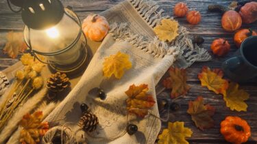 どうして急に？愛犬が室内でトイレをしなくなる